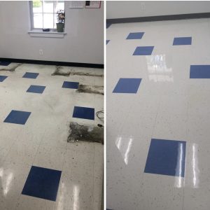 Loyalty Floors Cleaning Company